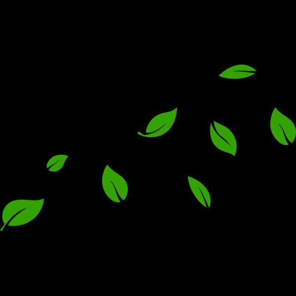 13 Leaves Thumbnail