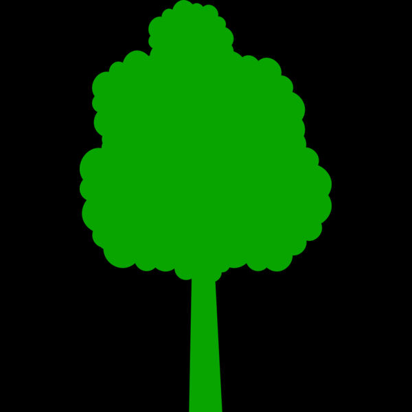 41 Tree Thumbnail