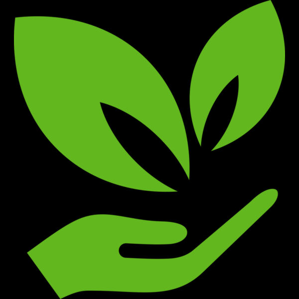 51 Leaves in hands Thumbnail