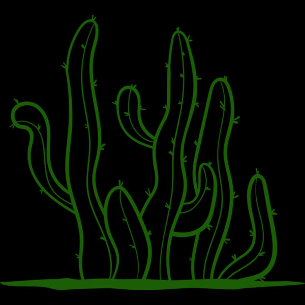 Cactus 2 Thumbnail