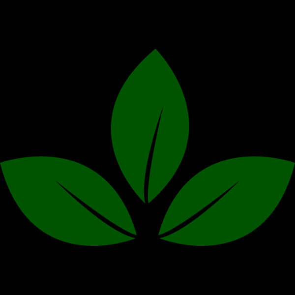 Leaves 5 Thumbnail
