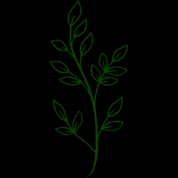 Leaves 2 Thumbnail
