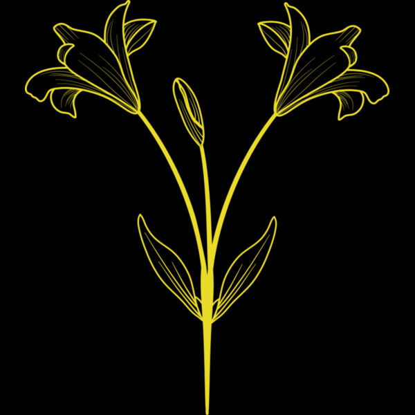 Flowers 9 Thumbnail
