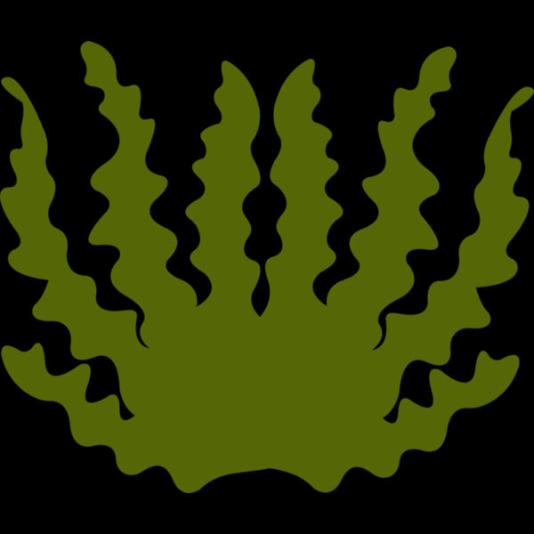 Sea Plant 2 Thumbnail
