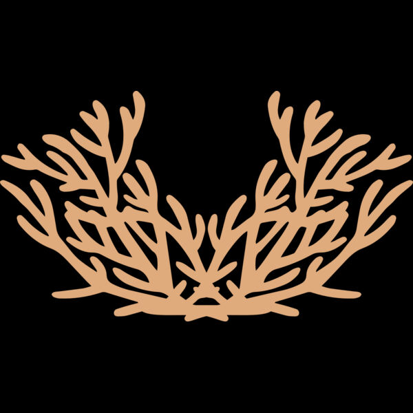 Sea Plants Thumbnail