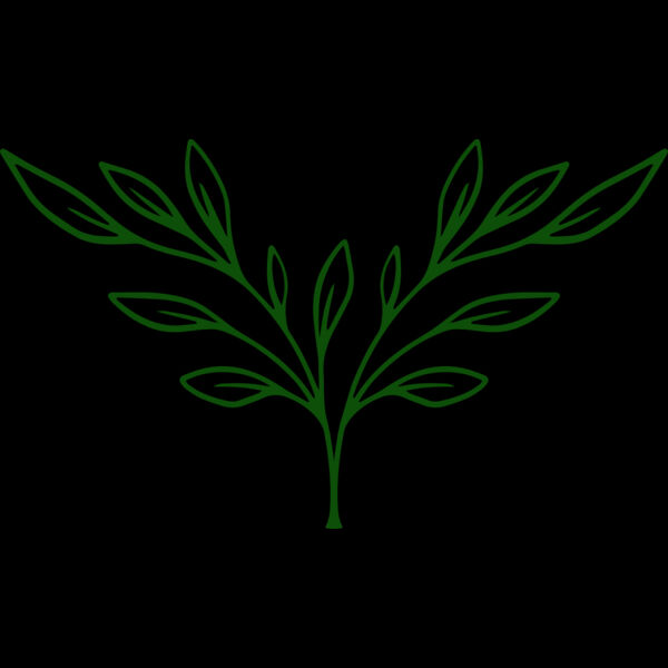 Plants 3 Thumbnail