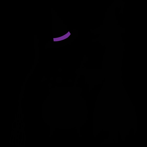 Hat Broom Witch (0899) Thumbnail