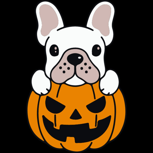 Pumpkin Frenchie White (0896) Thumbnail