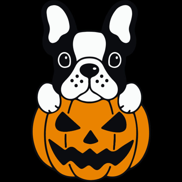 Pumpkin Frenchie (0895) Thumbnail