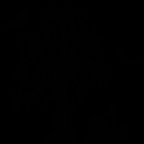 Spooky Tree Grave Bats (0886) Thumbnail