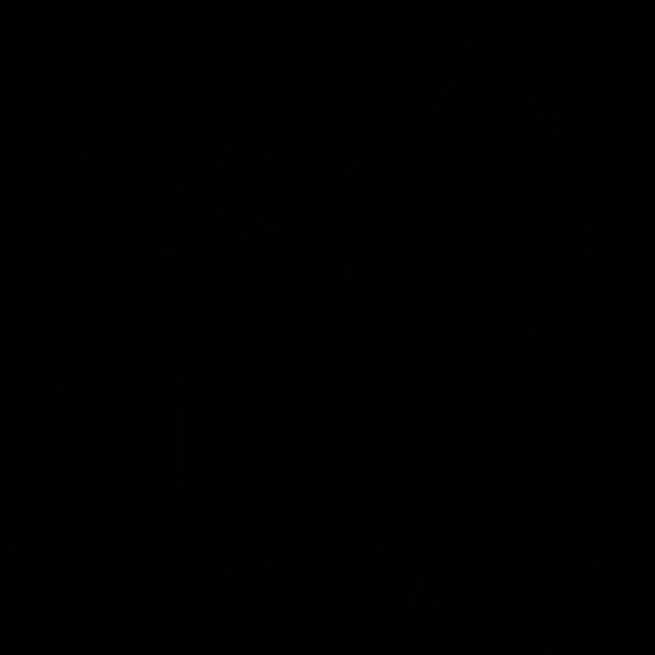 Cauldron Spider Brooms (0893) Thumbnail