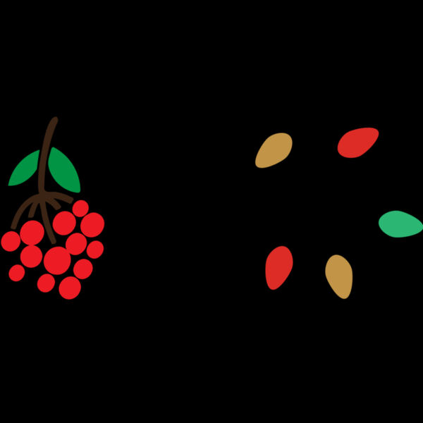 Don't Get Tinsel Tangled (0594) Thumbnail