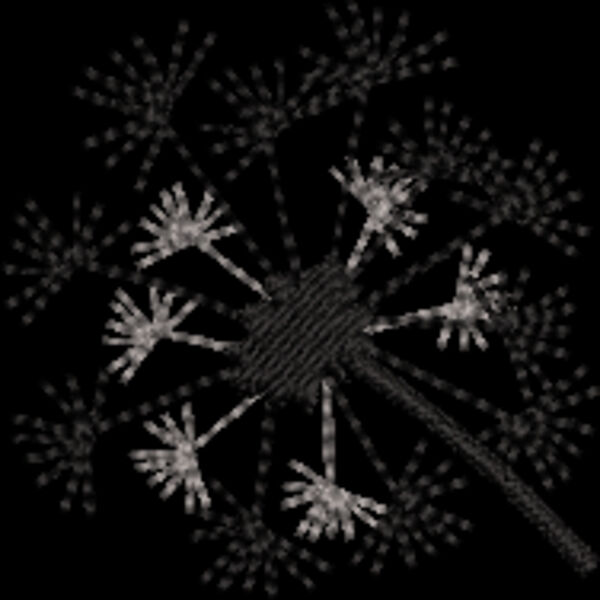 Dandelion (0335) Thumbnail