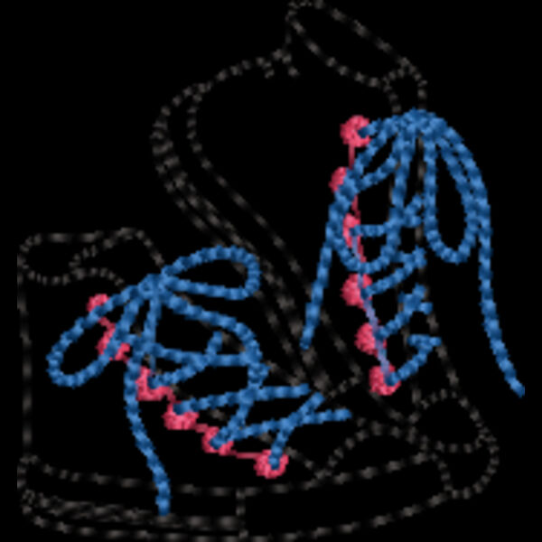 Shoes Line Art (0298) Thumbnail