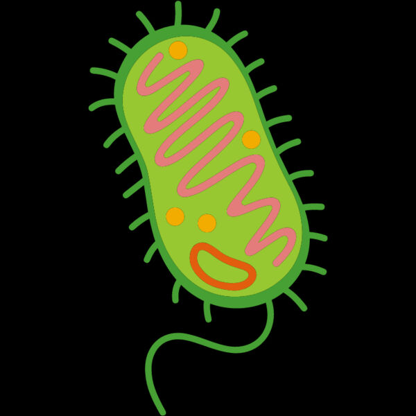 Bacteria Cell Thumbnail