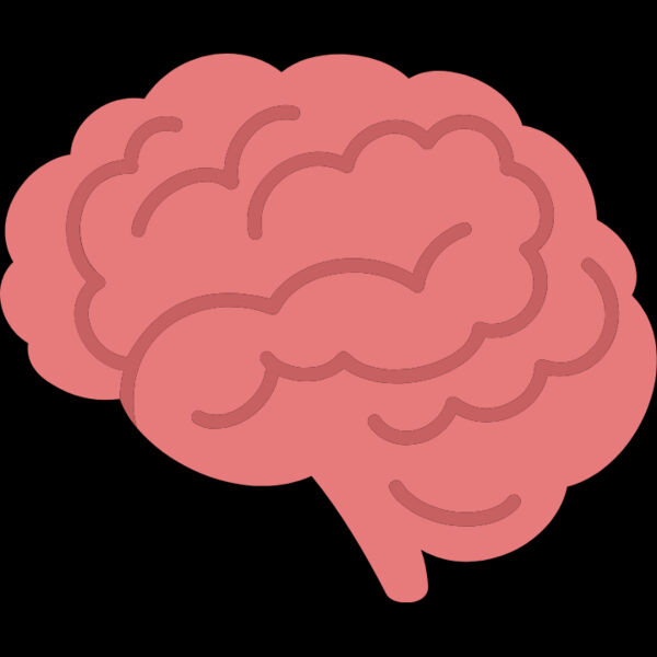 Brain Thumbnail