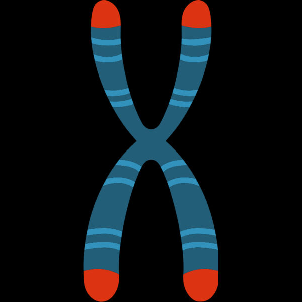 Chromosome Thumbnail