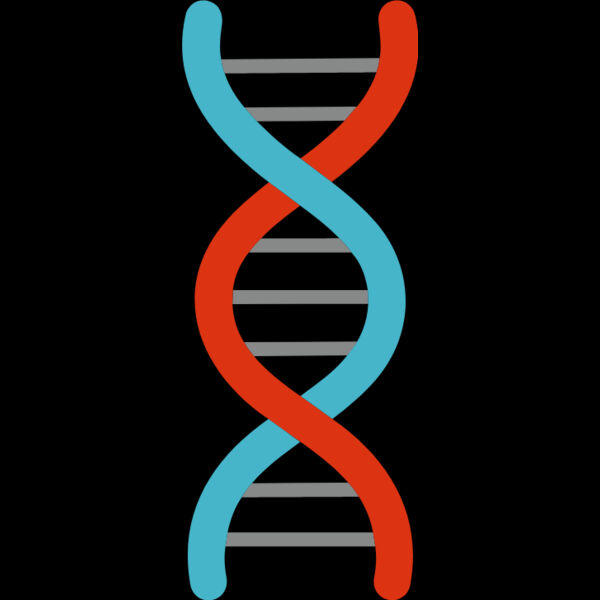 DNA Strand Thumbnail