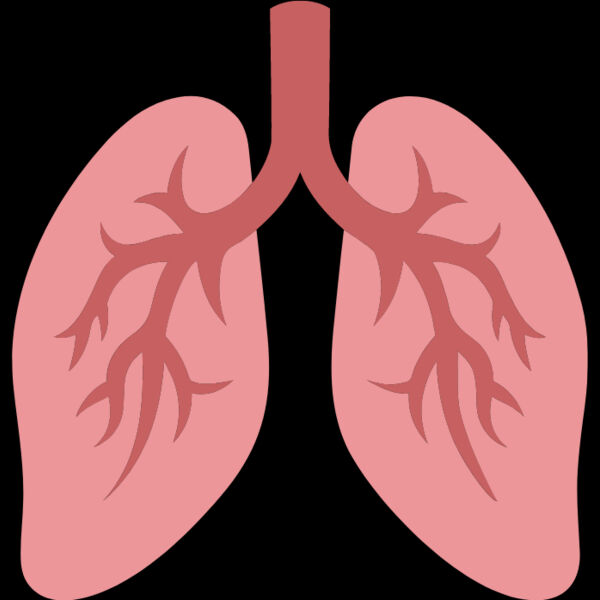 Lungs Thumbnail