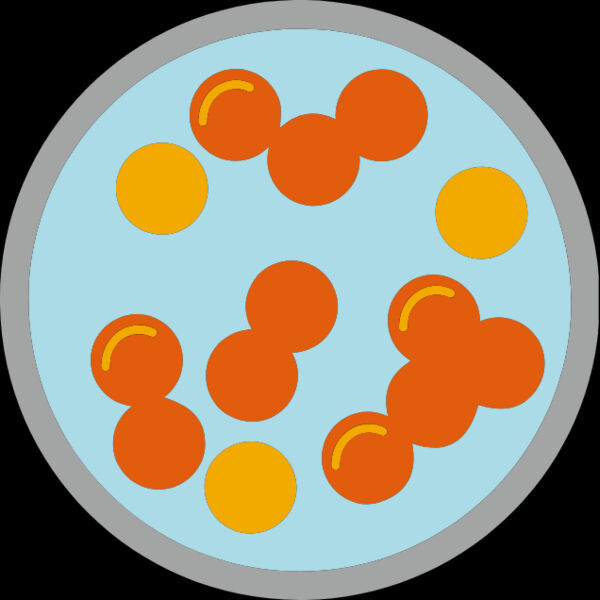Petri Dish Orange Thumbnail
