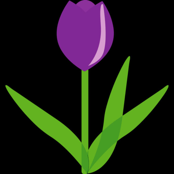 Tulip Flower Thumbnail