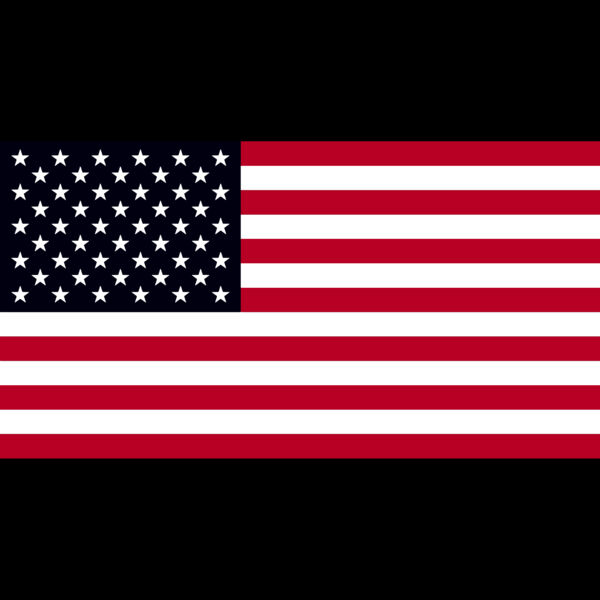 United States of America Flag Thumbnail