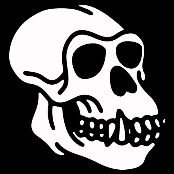 Homosapien Skull Thumbnail