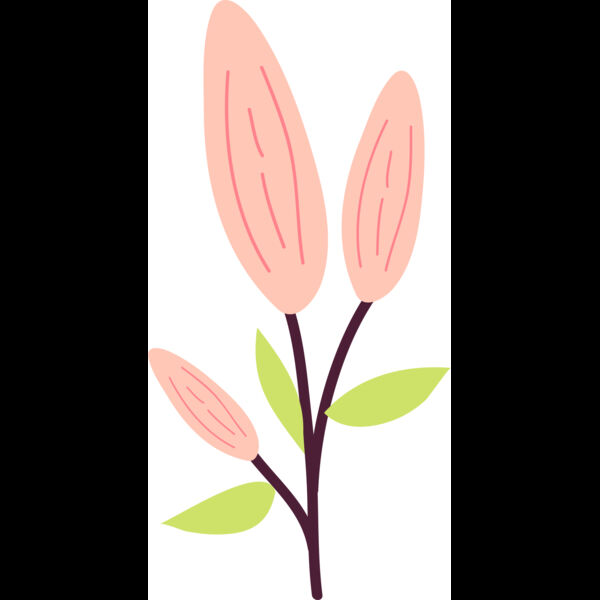 Asset 16 Thumbnail